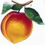 Interface Peachtree with AyaNova service management software