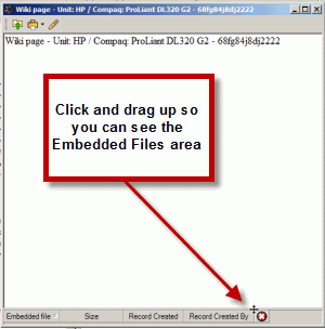 EmbeddedFile1