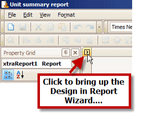 ReportWizard1