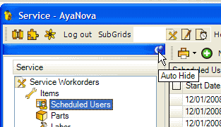 AutoHide1