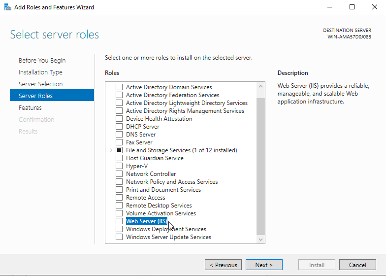 Select IIS Role