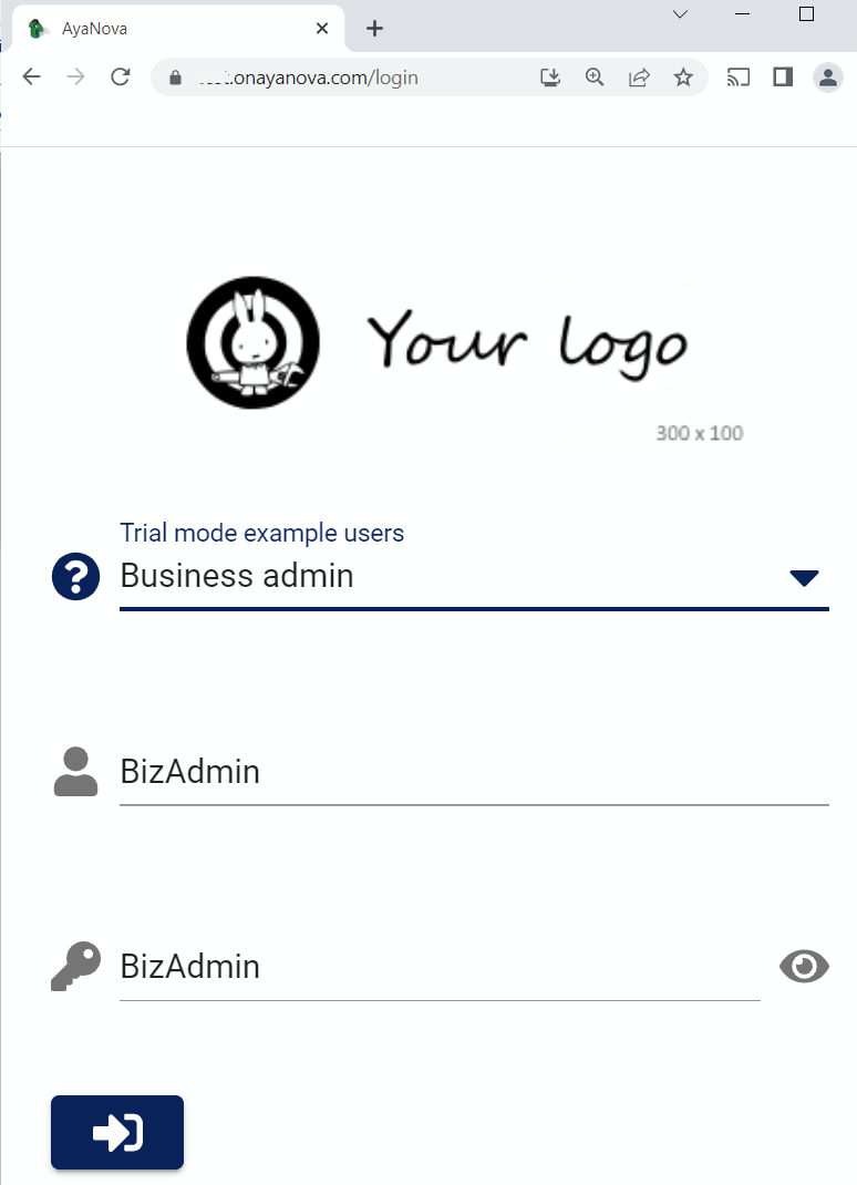 login as business admin user